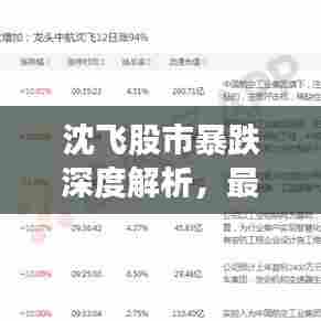 沈飞股市暴跌深度解析，最新消息引发市场震荡