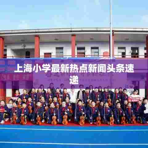 上海小学最新热点新闻头条速递