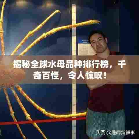 揭秘全球水母品种排行榜,千奇百怪,令人惊叹!