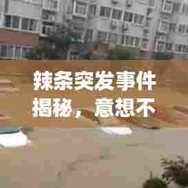 辣条突发事件揭秘，意想不到的背后故事