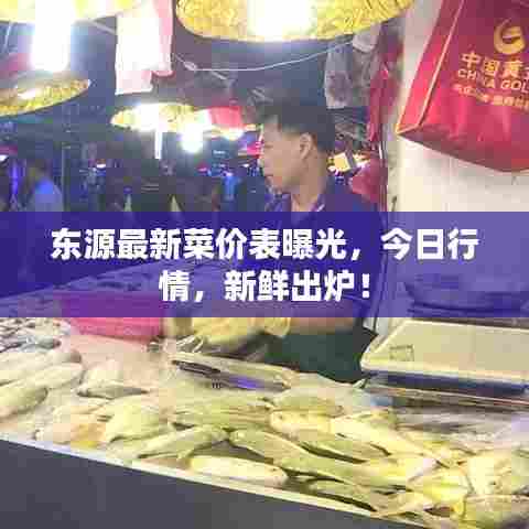 东源最新菜价表曝光，今日行情，新鲜出炉！