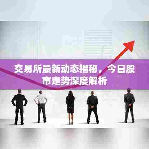 交易所最新动态揭秘，今日股市走势深度解析