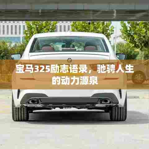 宝马325励志语录，驰骋人生的动力源泉