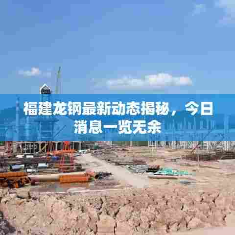 福建龙钢最新动态揭秘，今日消息一览无余