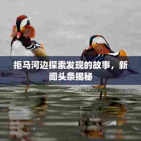 拒马河边探索发现的故事，新闻头条揭秘