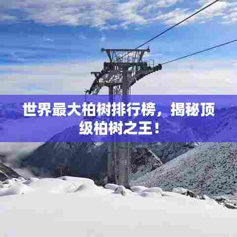 坚持不懈 第7页