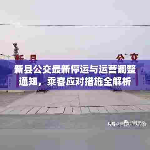新县公交最新停运与运营调整通知，乘客应对措施全解析