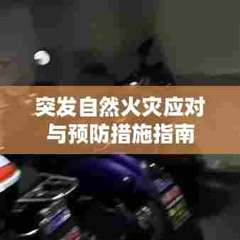 突发自然火灾应对与预防措施指南