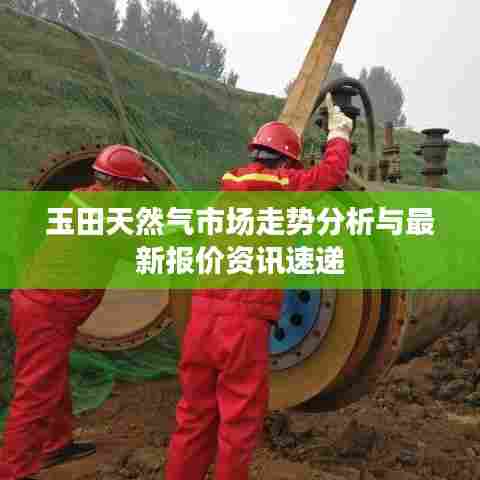 玉田天然气市场走势分析与最新报价资讯速递