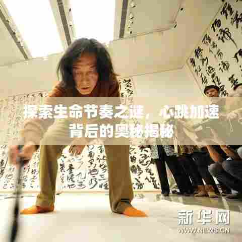 探索生命节奏之谜，心跳加速背后的奥秘揭秘