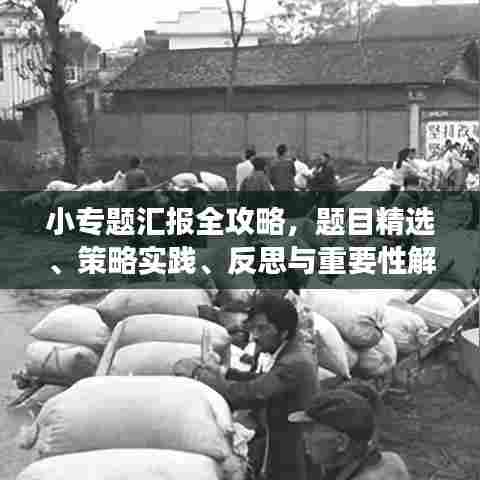 小专题汇报全攻略，题目精选、策略实践、反思与重要性解读
