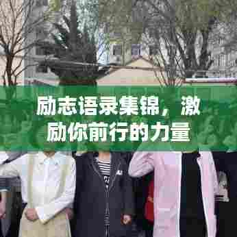 励志语录集锦，激励你前行的力量
