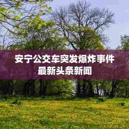 安宁公交车突发爆炸事件最新头条新闻