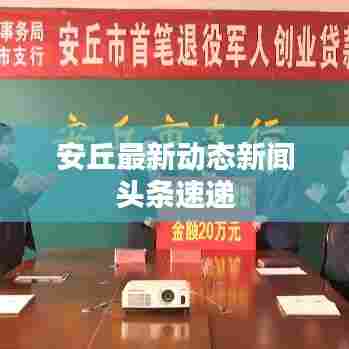 栖冲业简 第6页