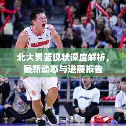 北大男篮现状深度解析，最新动态与进展报告