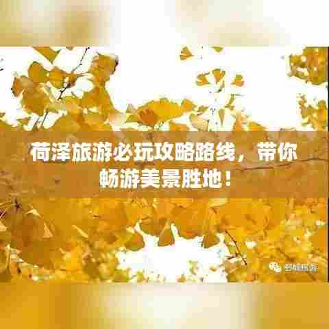 荷泽旅游必玩攻略路线，带你畅游美景胜地！