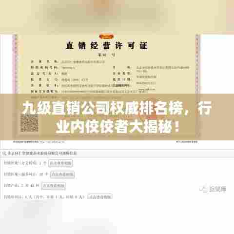 九级直销公司权威排名榜，行业内佼佼者大揭秘！