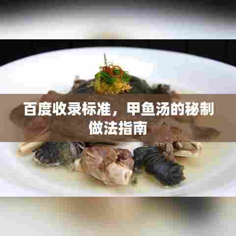 百度收录标准，甲鱼汤的秘制做法指南