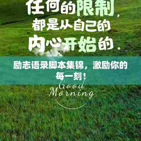 励志语录脚本集锦,激励你的每一刻!