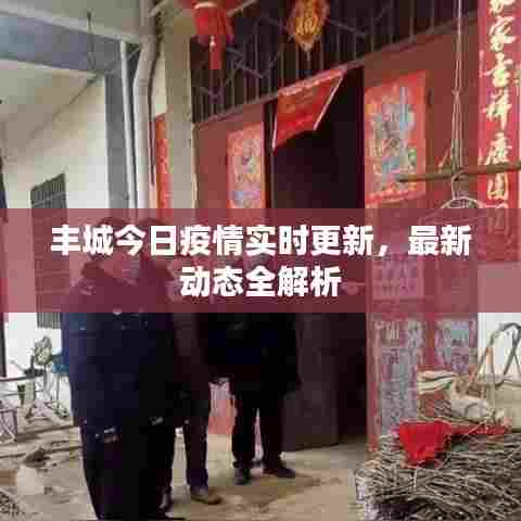 丰城今日疫情实时更新，最新动态全解析