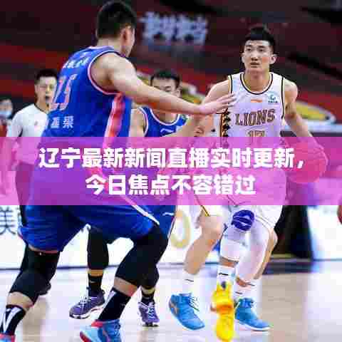 辽宁最新新闻直播实时更新，今日焦点不容错过