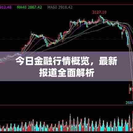 今日金融行情概览，最新报道全面解析