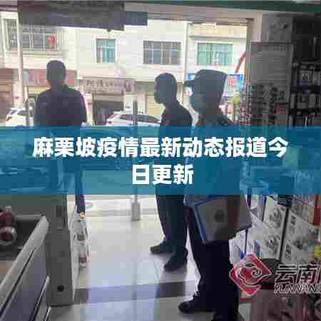 麻栗坡疫情最新动态报道今日更新
