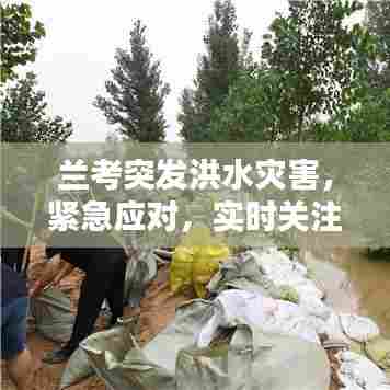 兰考突发洪水灾害，紧急应对，实时关注