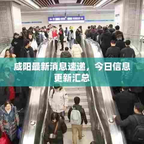 咸阳最新消息速递,今日信息更新汇总