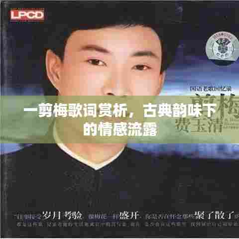 一剪梅歌词赏析，古典韵味下的情感流露