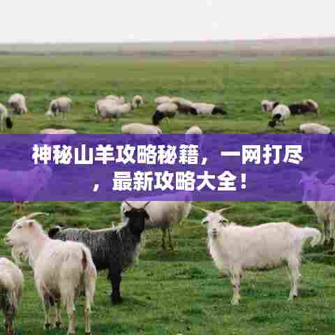 神秘山羊攻略秘籍，一网打尽，最新攻略大全！