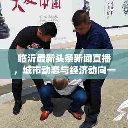 临沂最新头条新闻直播，城市动态与经济动向一网打尽