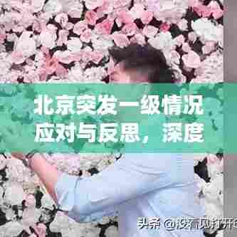 北京突发一级情况应对与反思，深度剖析学习经验