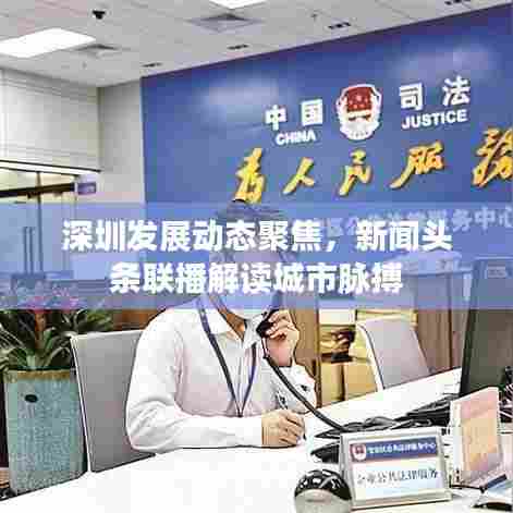 深圳发展动态聚焦，新闻头条联播解读城市脉搏