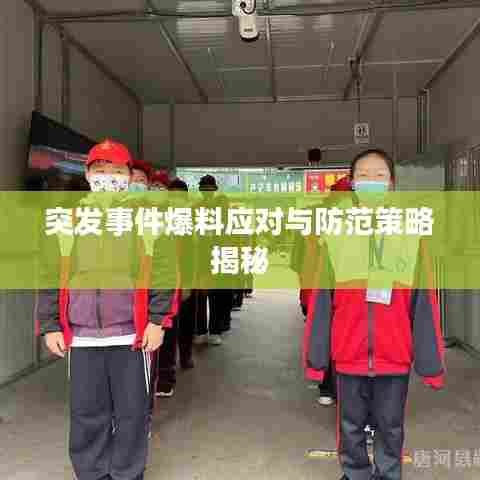 突发事件爆料应对与防范策略揭秘