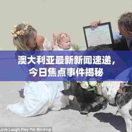 澳大利亚最新新闻速递,今日焦点事件揭秘