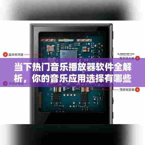 当下热门音乐播放器软件全解析，你的音乐应用选择有哪些？