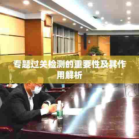 专题过关检测的重要性及其作用解析