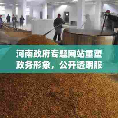 河南政府专题网站重塑政务形象，公开透明服务新平台亮相