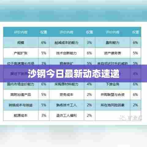 沙钢今日最新动态速递