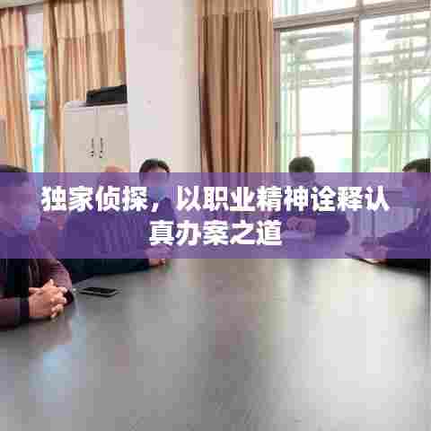 独家侦探，以职业精神诠释认真办案之道