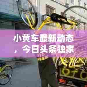 小黄车最新动态,今日头条独家爆料!