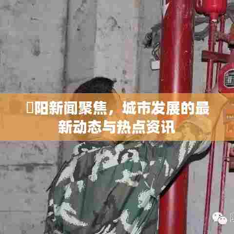 灈阳新闻聚焦，城市发展的最新动态与热点资讯