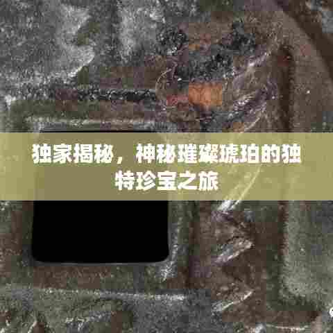 独家揭秘，神秘璀璨琥珀的独特珍宝之旅