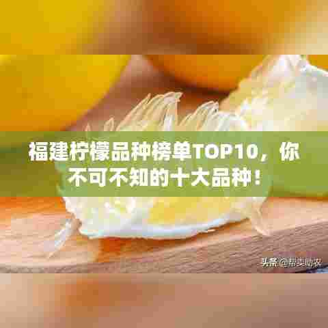 福建柠檬品种榜单TOP10，你不可不知的十大品种！