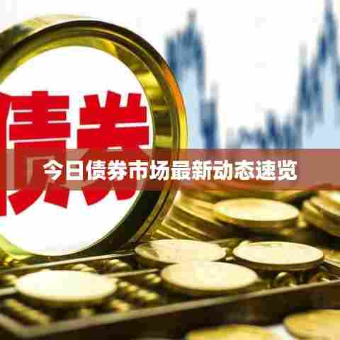 今日债券市场最新动态速览