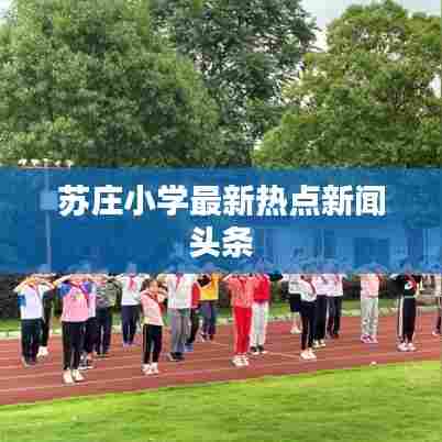 苏庄小学最新热点新闻头条