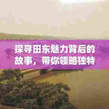 探寻田东魅力背后的故事，带你领略独特风情！
