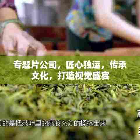 专题片公司，匠心独运，传承文化，打造视觉盛宴