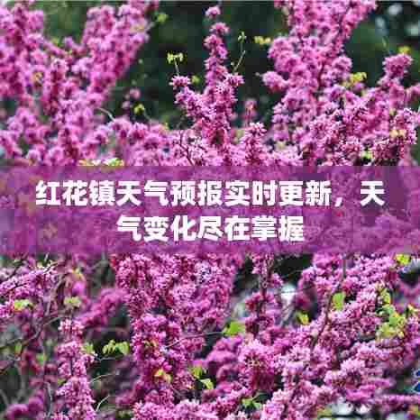 红花镇天气预报实时更新，天气变化尽在掌握